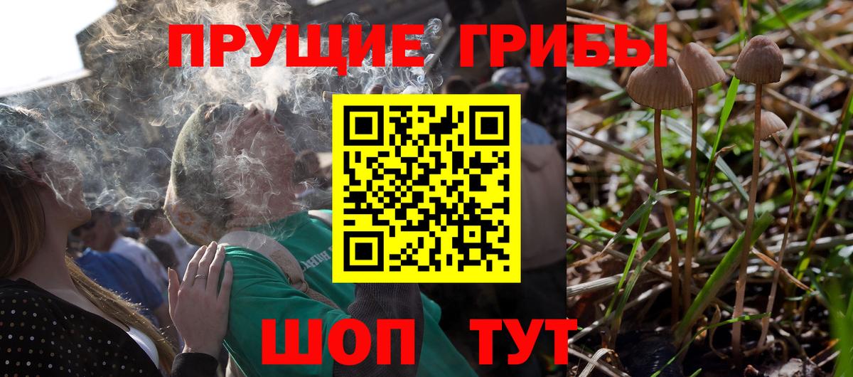 Галлюциногенные грибы прущие грибы Москва